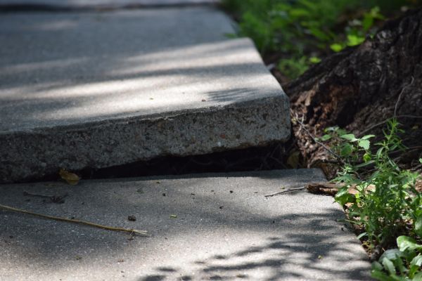 Sidewalk Leveling in Novi
